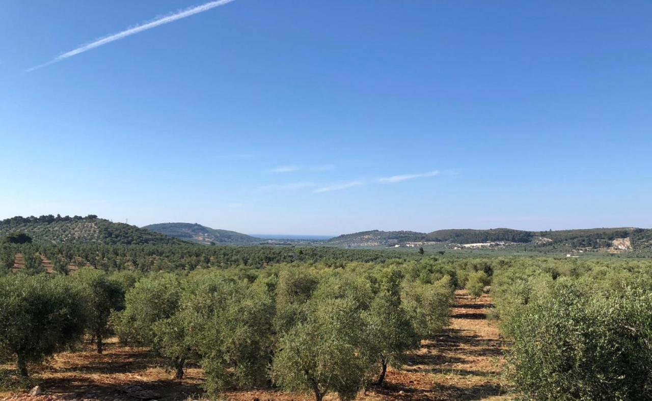 Borgo Rosoli Весте Екстериор снимка