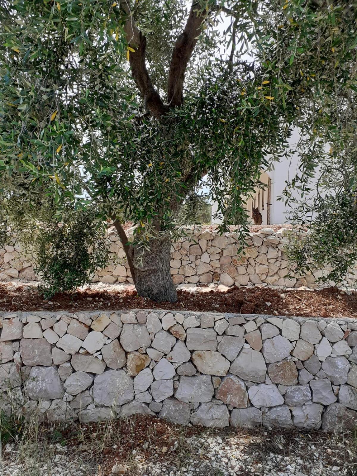 Borgo Rosoli Весте Екстериор снимка
