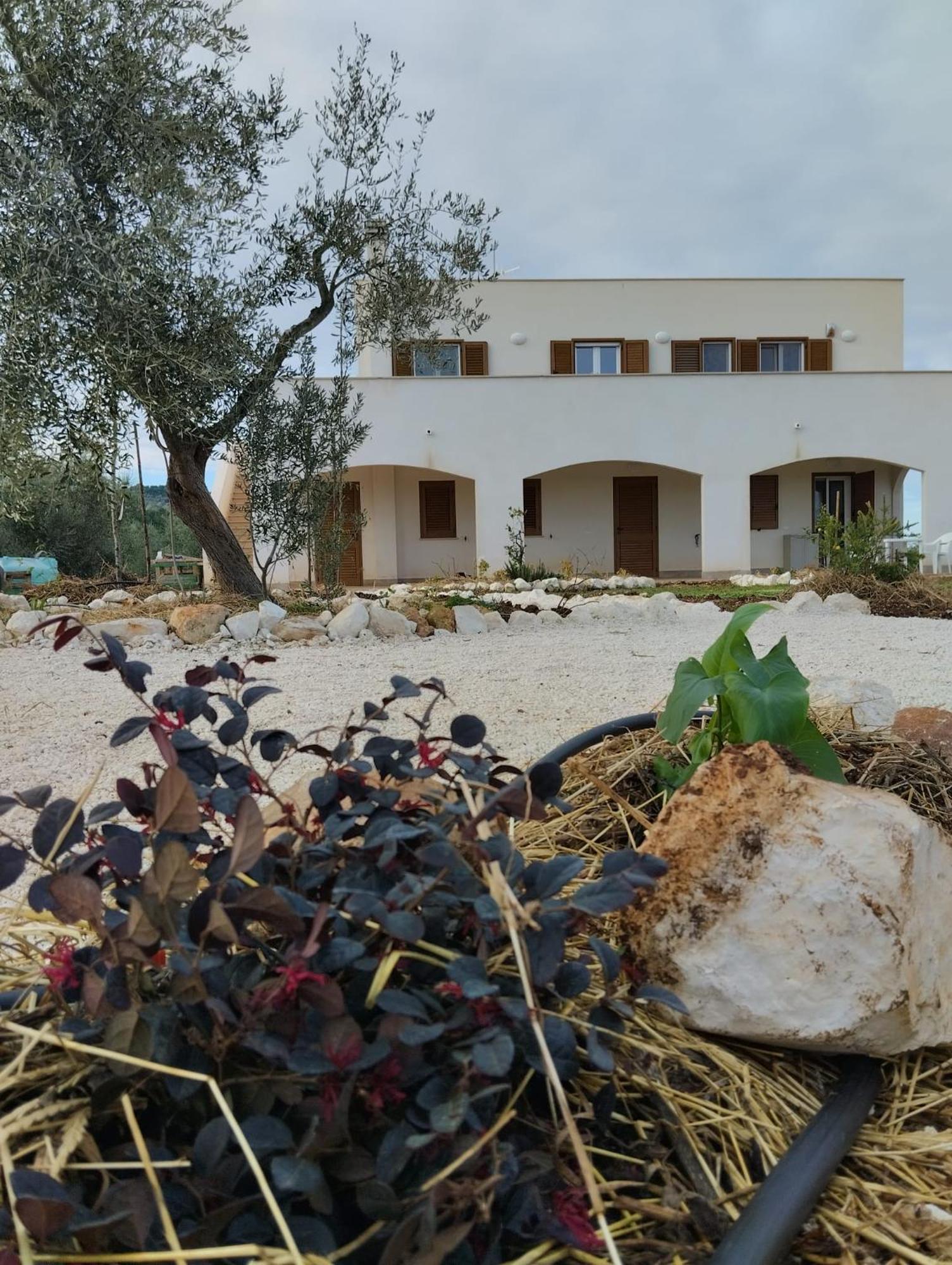 Borgo Rosoli Весте Екстериор снимка