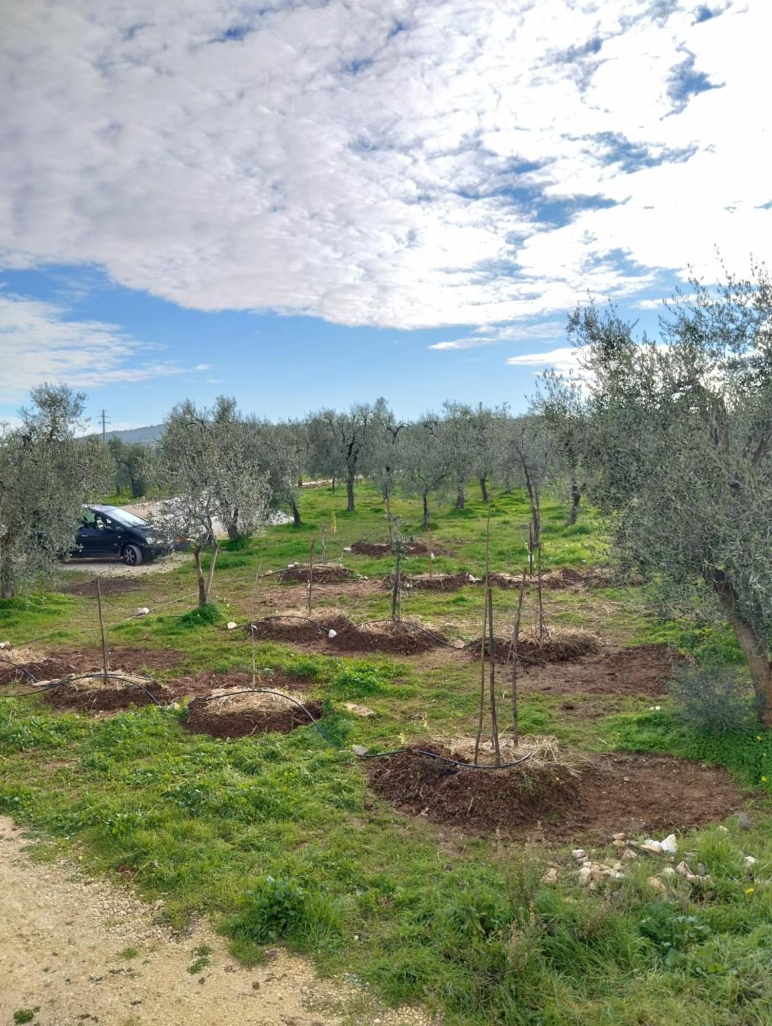 Borgo Rosoli Весте Екстериор снимка